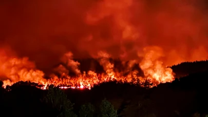 Taraklı’daki yangınına ilişkin gözaltına alınanlar serbest bırakıldı