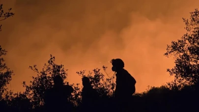 Bilecik'te yanmak üzere olan hayvanlar kurtarıldı!