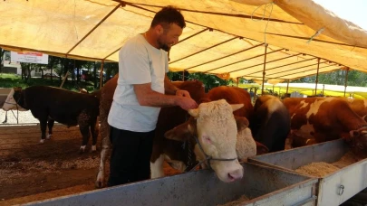 Şap Tehlikesi! Ülke genelinde tüm hayvan pazarları kapatıldı