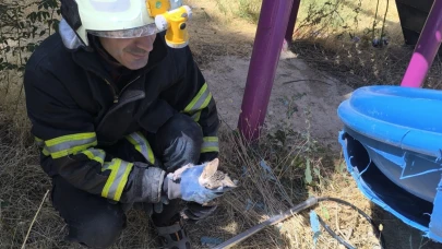Kaydırağa sıkışan kedi kurtarıldı