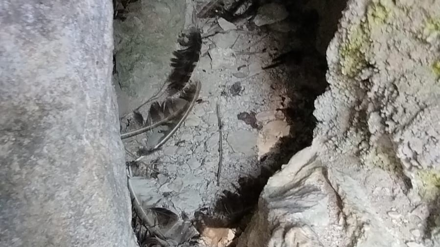 Bursa’da kaçak kazıya suçüstü