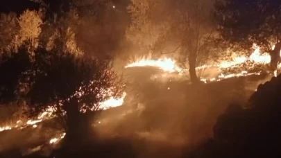 Balıkesir'de zeytinlik alanda çıkan yangına ekipler müdahale ediyor