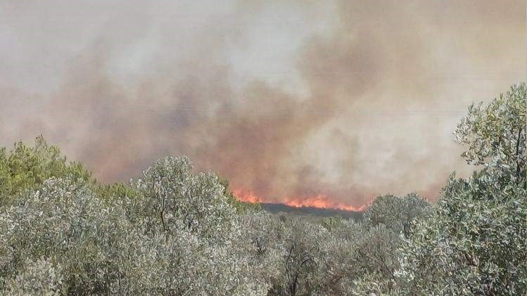 Yangınlar Çeşme'ye sıçradı