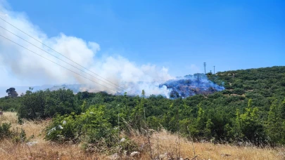 İnegöl'deki orman yangını kontrol altında