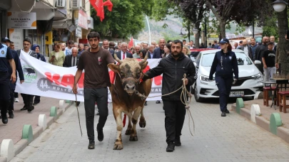 44. Kafkasör Festivali boğalı kortej yürüyüşüyle başlad