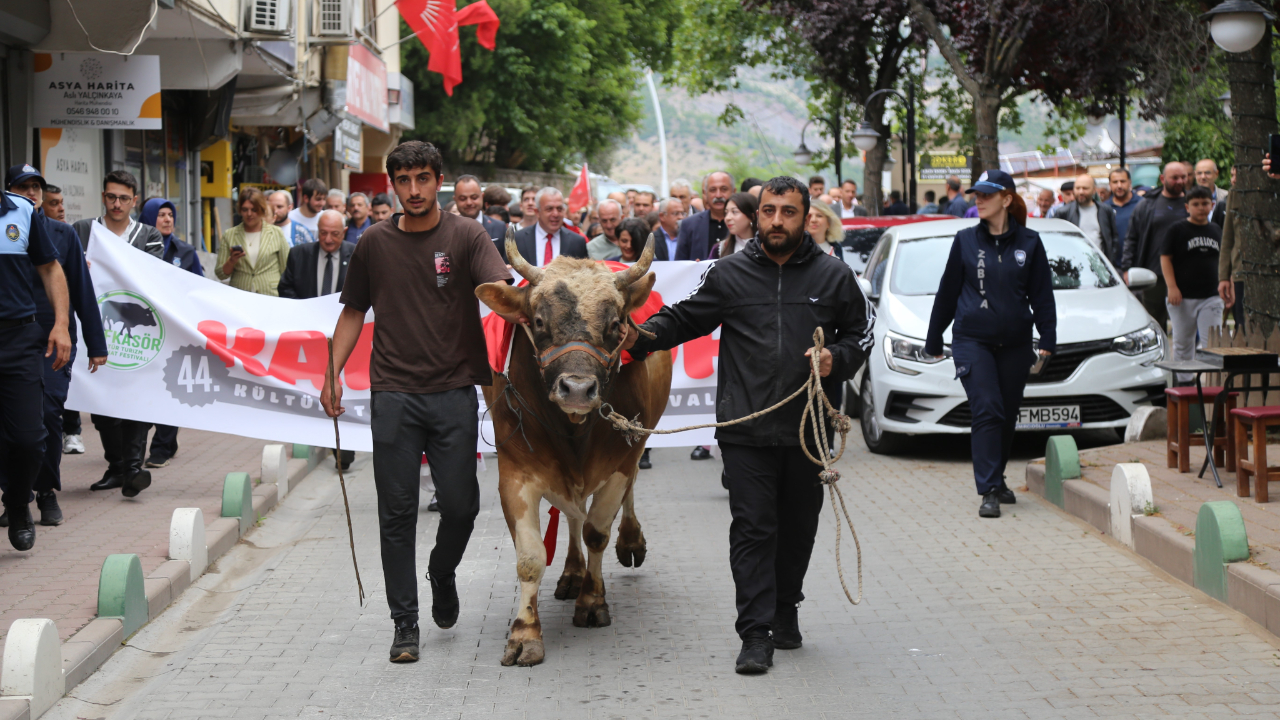 44. Kafkasör Festivali boğalı kortej yürüyüşüyle başlad