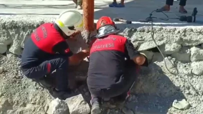 Şanlıurfa’da betonun altında mahsur kalan 2 kedi kurtarıldı