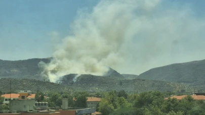 Selçuk'ta yangın çıktı