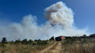 Silivri'de tarım arazisi yangını