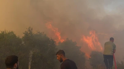 Çalılık alanda çıkan yangın paniğe neden oldu