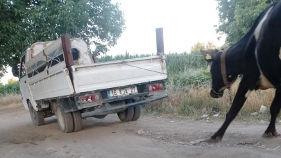 Böyle vicdansızlık görülmedi! Arabaya bağladığı atı sürükledi