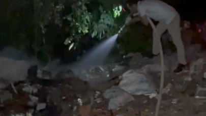 Yol kenarındaki çöplerden yangın çıktı
