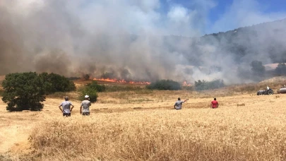 Bursa’da anız yangını ormana sıçradı!