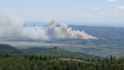 Kahramanmaraş'ta yangın