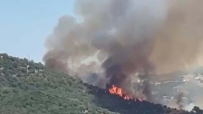 Balıkesir'de orman yangını!