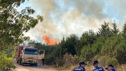 Kocaeli'nde orman yangını!