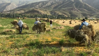 Kızgın güneş altında ekmek mücadelesi