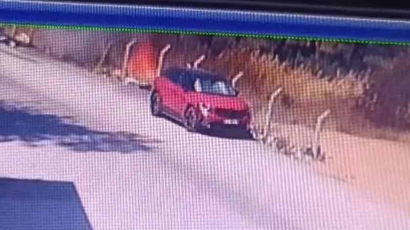 Buca'daki orman yangınının çıkış görüntüsü ortaya çıktı
