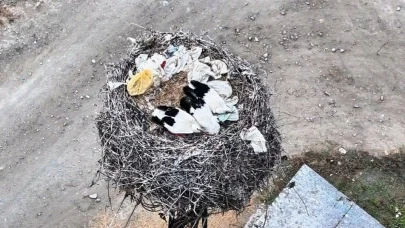 Leylek ailesi uyurken dronla görüntülendü