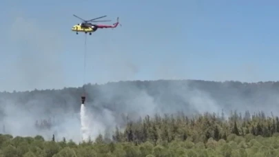 Çanakkale'de orman yangını! Ekipler havandan ve karadan müdahale ediyor