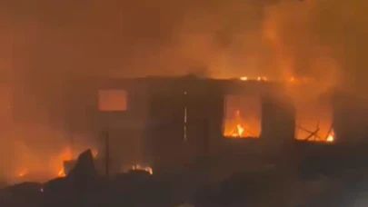 Malatya'da besi çiftliği ve odunluk yangını