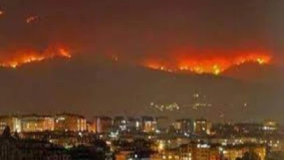 Hatay'daki orman yangını kontrol altına alındı