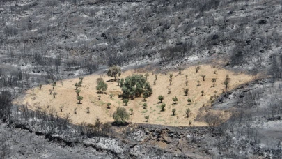 Sürülen toprak alevlere geçit vermedi