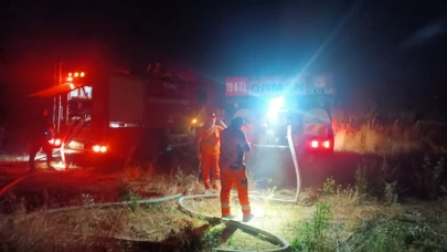 Bursa'da otluk alanda çıkan yangın ağaçlık alana sıçradı!