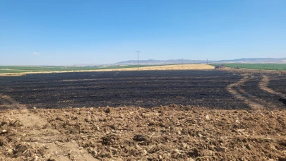 Eskişehir'de 40 dönümlük buğday tarlasında yangın