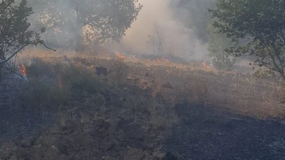 Zonguldak'ta ormanlık alanda çıkan yangına ekipler müdahale etti