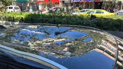 Üsküdar’da park halindeki otomobilin üzerine ağaç devrildi