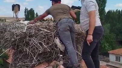 Ayağına ip dolanan leyleği itfaiye ekipleri kurtardı