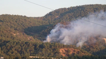 Bolu'daki orman yangınına havadan ve karadan müdahale sürüyor