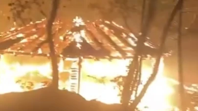 Piknik ateşinden çıkan yangın paniğe neden oldu