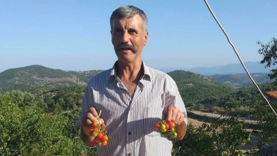 Ailesiyle gittiği piknikte kayboldu!