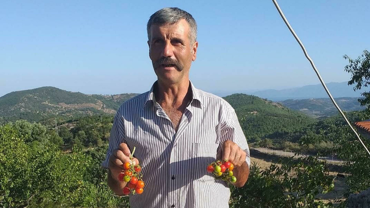 Ailesiyle gittiği piknikte kayboldu!