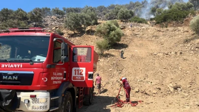 Zirai alan yangını söndürüldü