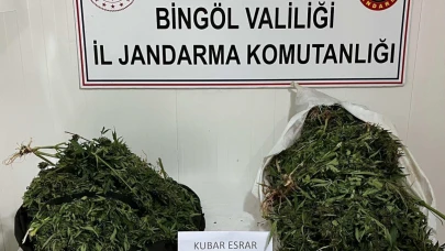 Bagajda uyuşturucu ele geçirildi! 4 tutuklama