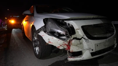 Gümüşhane’de otomobilin çarptığı ayı telef oldu