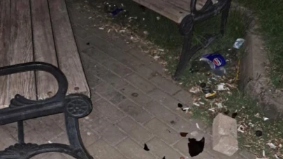 Çocuk parkında tehlike