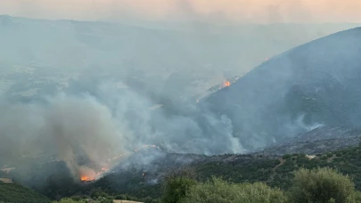 Manisa Sarıgöl’de çıkan yangın Uşak’a ulaştı; bazı evler tahliye edildi