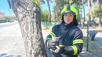 Balıkesir itfaiyesinden kedi kurtarma operasyonu