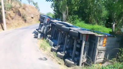 Aydın'da bir tır şarampole yuvarlandı