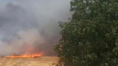 Bursa’da korkutan anız yangını