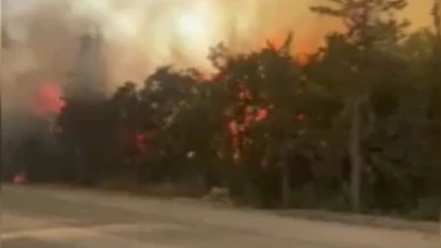 Bursa'da ormanlık alanda yangın