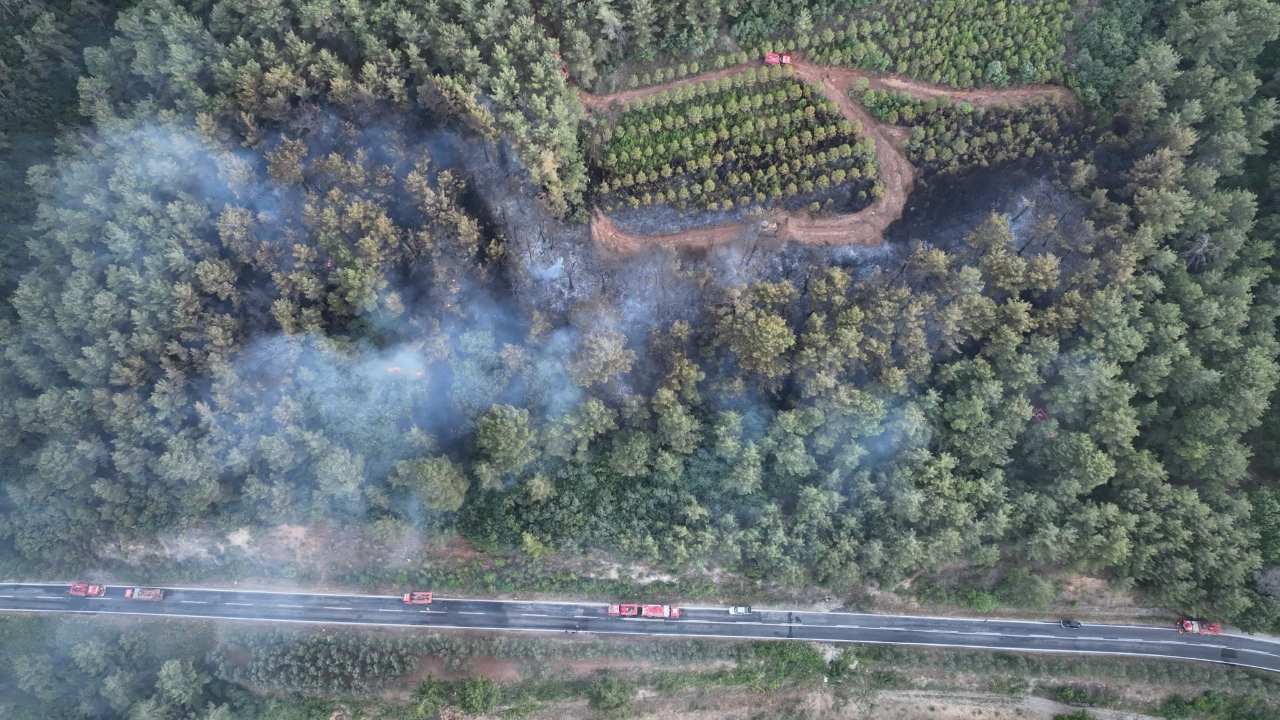 Çanakkale'deki orman yangını kontrol altına alındı