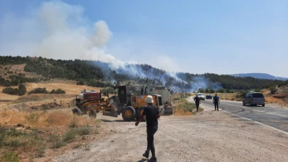 Bilecik'te yeni orman yangını!