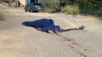 Tofaş'la çarpışıp ikiye katlanan motosikletin sürücüsü hayatını kaybetti