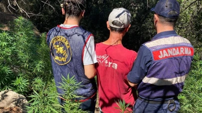 Uyuşturucu operasyonu: 14 tutuklu
