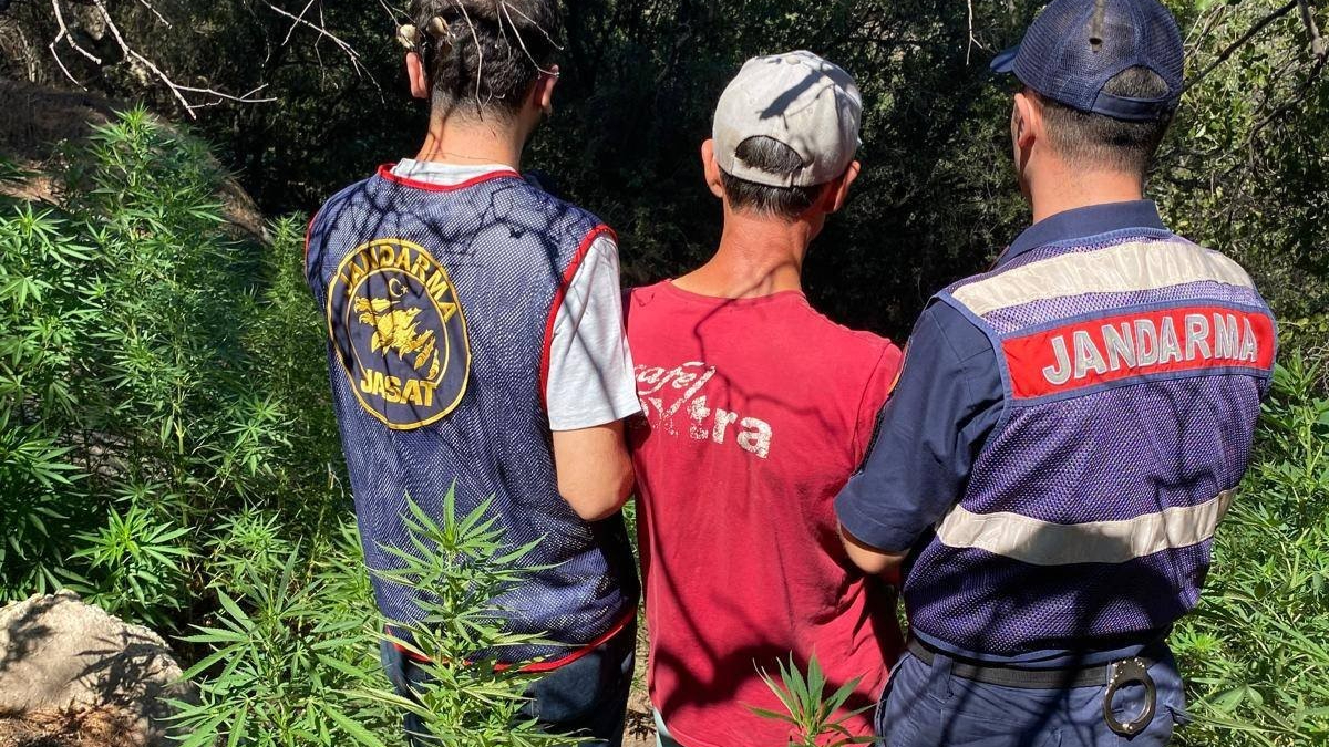 Uyuşturucu operasyonu: 14 tutuklu